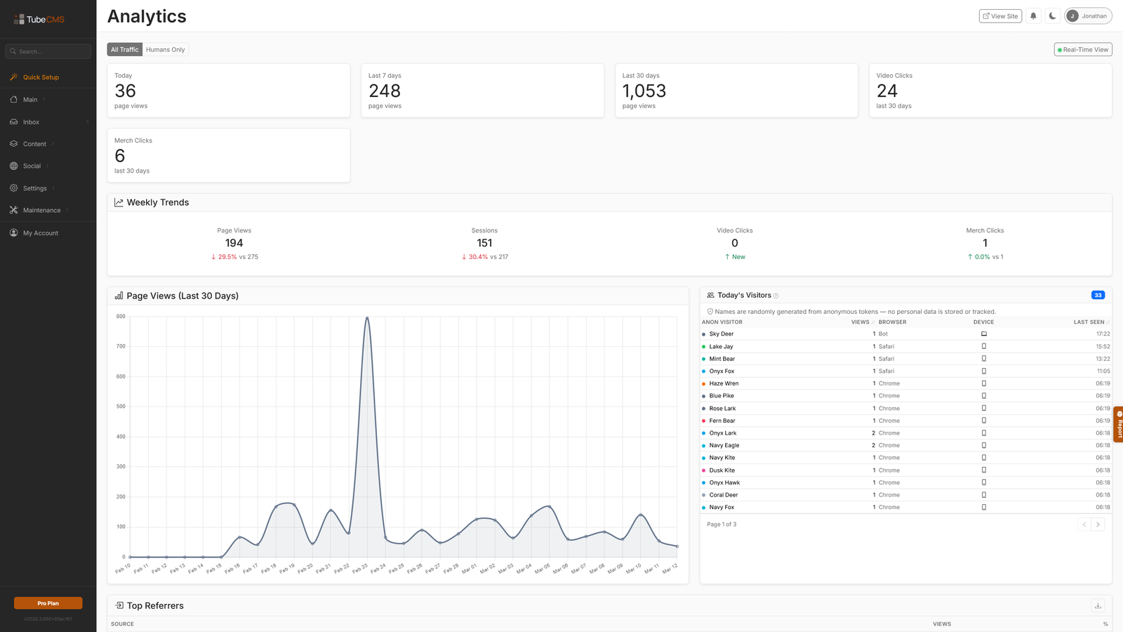 Analytics dashboard — visitor stats and page views